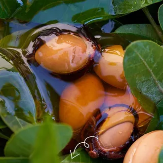 Argan Oil Conditioner